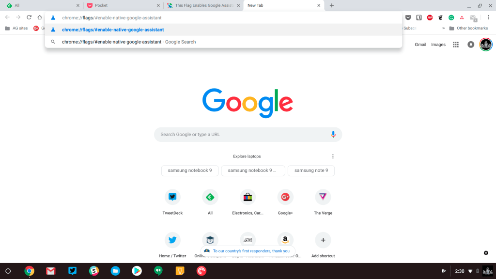 Google Assistant Chrome Windows